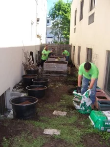 Garden 2015 1