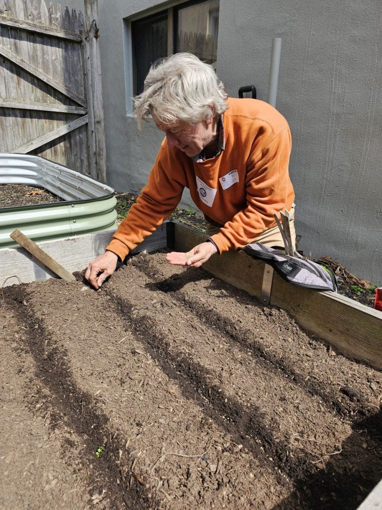 Jon Belber, Community Outreach and Farm to Food Pantry Director at Holly Hill Farm in Cohasset, plants carrot seeds in Interfaith Social Services’ alley garden in Quincy during his April Carrot-By-Cycle ride. Holly Hill, Interfaith, Weymouth Food Pantry and Keohane Funeral Home are promoting their annual Plant.Grow.Share. program, encouraging home gardeners to plant extra produce for local pantries.
