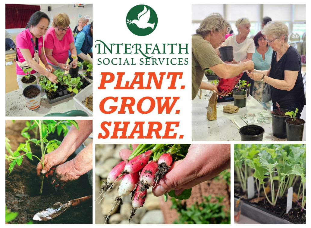 Plant grow share images of plants and people gardening