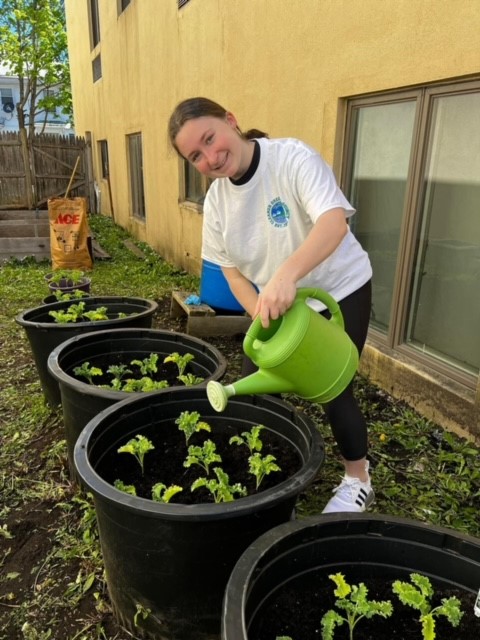 girl scouts maintaining alleyway garden