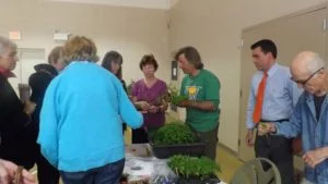 Tomato Workshop 1